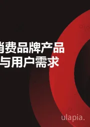 2025新消费品牌产品创新趋势与用户需求洞察报告