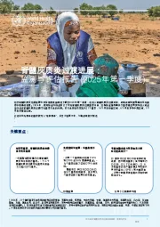 脊髓灰质炎过渡进展：监测与评估报告（2025年第一季度）