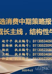 可选消费中期策略报告：新消费创造成长主线，结构性牛市曙光已现