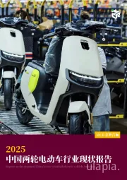 2025中国两轮电动车行业现状报告