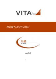 2025维TA技术行业现状