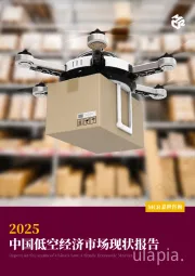 2025中国低空经济市场现状报告