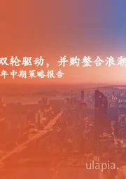 半导体行业2025年中期策略报告：“AI+国产化”双轮驱动，并购整合浪潮已掀起