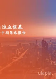 汽车行业2025年中期策略报告:高端化筑牢车企造血根基