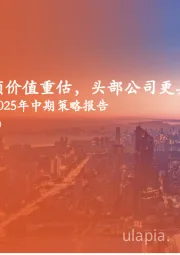 非银金融行业2025年中期策略报告：高质量发展引领价值重估，头部公司更具韧性