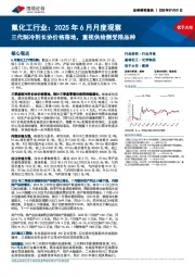 氟化工行业：2025年6月月度观察：三代制冷剂长协价格落地，重视供给侧受限品种