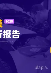 2025汽车改装市场简析报告
