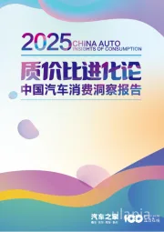 2025中国汽车消费洞察报告：质价比进化论