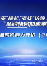 乘用车品牌影响力评价（2025版）