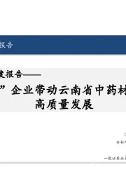 中药行业深度报告：“链主”企业带动云南省中药材产业链高质量发展