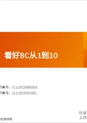 光伏新技术:看好BC从1到10