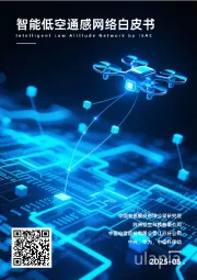 通信行业：智能低空通感网络白皮书