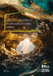 2025年7月中国上市矿业与金属公司2024年回顾及未来展望