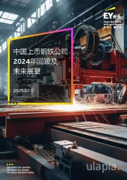 中国上市钢铁公司2024年回顾及未来展望2025年7月