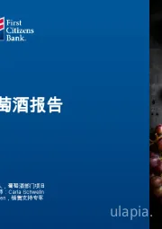 2025直销葡萄酒报告