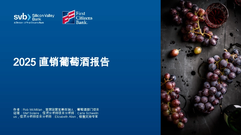 2025直销葡萄酒报告