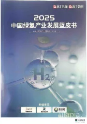 2025中国绿氢产业发展蓝皮书