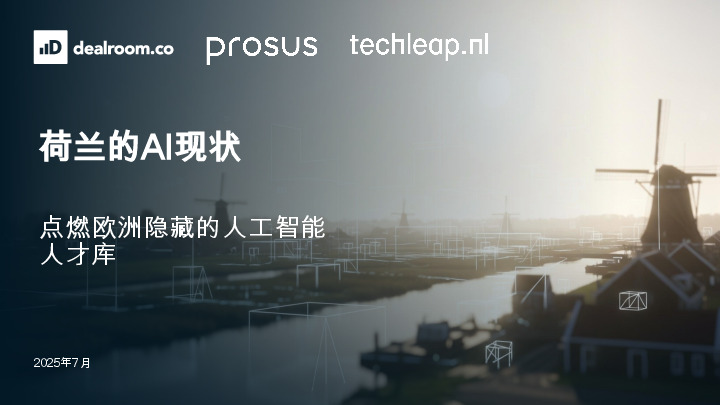 荷兰的AI现状：点燃欧洲隐藏的人工智能人才库2025年7月
