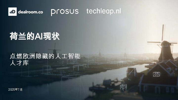 荷兰的AI现状：点燃欧洲隐藏的人工智能人才库2025年7月