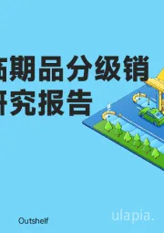 零售行业：折扣店临期品分级销售策略研究报告