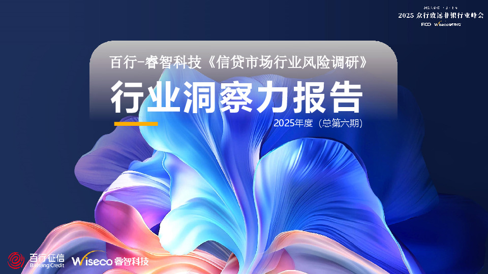 信贷市场行业风险调研：行业洞察力报告2025年度（总第六期）