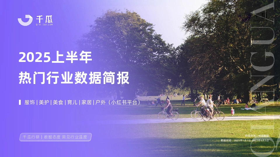 2025上半年热门行业数据简报