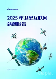 2025年卫星互联网薪酬报告