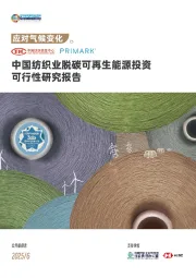 中国纺织业脱碳可再生能源投资可行性研究报告