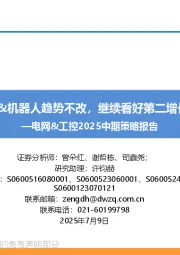 电网&工控2025中期策略报告:AIDC&机器人趋势不改,继续看好第二增长曲线