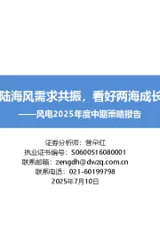 风电2025年度中期策略报告:25年陆海风需求共振,看好两海成长空间
