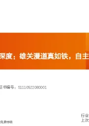 科学仪器行业深度：雄关漫道真如铁，自主可控势如潮