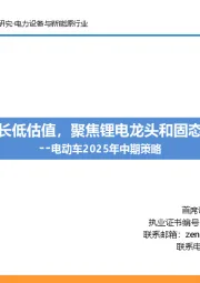 电动车2025年中期策略:稳健增长低估值,聚焦锂电龙头和固态新技术