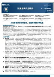 耐用消费产业研究：反内卷提供高低切主线，把握新消费回调机遇