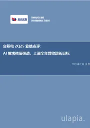 电子行业事项点评：台积电2Q25业绩点评：AI需求依旧强劲，上调全年营收增长目标