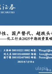 化工行业2025中期投资策略：关注涨价弹性、国产替代、超跌头部三大主线