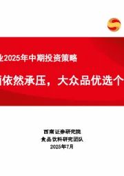 食品饮料行业2025年中期投资策略：白酒依然承压，大众品优选个股