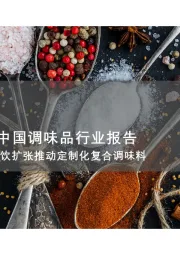 2025年中国调味品行业报告：连锁餐饮扩张推动定制化复合调味料