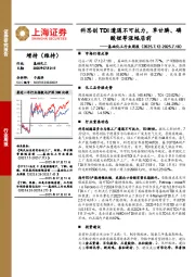 基础化工行业周报:科思创TDI遭遇不可抗力,草甘膦、磷酸锂等涨幅居前