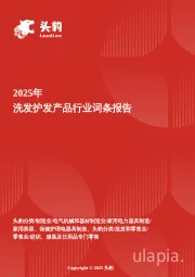 秀发新生代——洗发护发市场个性化需求驱动下的创新之路 头豹词条报告系列
