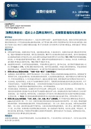 消费行业研究:消费出海总论:迈向2.0品牌出海时代,迎接繁星璀璨与星辰大海