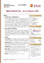 磷肥行业点评：磷肥外销价格可观，关注三季度出口情况