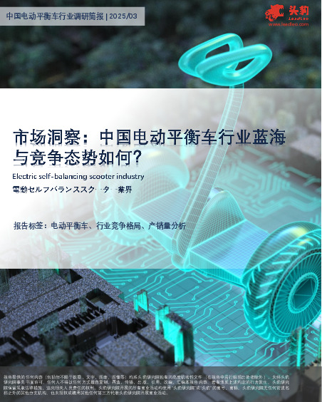 中国电动平衡车行业调研简报：市场洞察：中国电动平衡车行业蓝海与竞争态势如何？