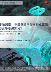 中国电动平衡车行业调研简报：市场洞察：中国电动平衡车行业蓝海与竞争态势如何？