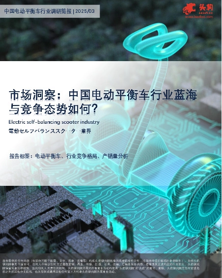 中国电动平衡车行业调研简报：市场洞察：中国电动平衡车行业蓝海与竞争态势如何？