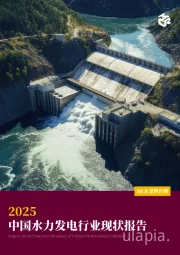 2025中国水力发电行业现状报告