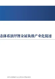 新能源车与储能7月观点：动储需求整体稳定，固态体系演绎锂金属负极产业化提速