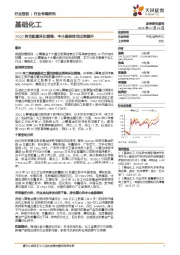 基础化工行业专题研究:25Q2持仓配置环比微降,中小盘股持仓比例提升