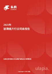 玻璃镜片：清晰视界的科技博弈：玻璃镜片市场升级，光学工艺驱动高端化趋势 头豹词条报告系列