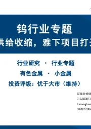 钨行业专题：战略金属供给收缩，雅下项目打开产业空间