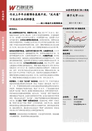 轻工制造行业跟踪报告：行业上半年业绩预告表现平淡，“反内卷”下关注行业利润修复